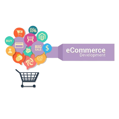 Custom-Ecommerce-Development​