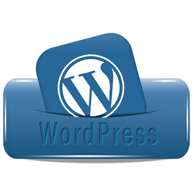 Custom-WordPress-Development​