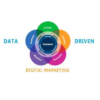 Data-Driven-Insights​