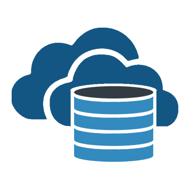 Data-Fortress​