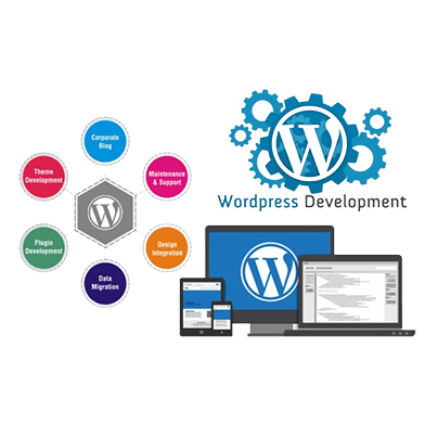 Theme-Design-&-Customization​