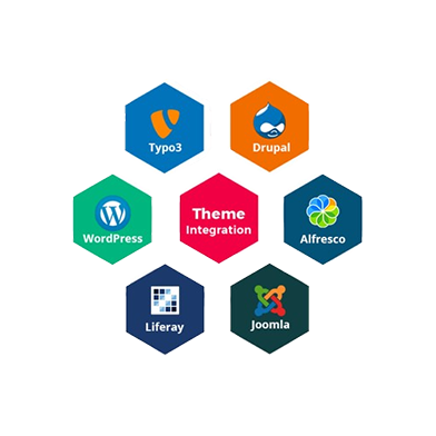 Unique-Approach-to-CMS-Development​