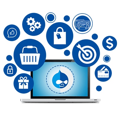 User-Friendly-WordPress-Designs​