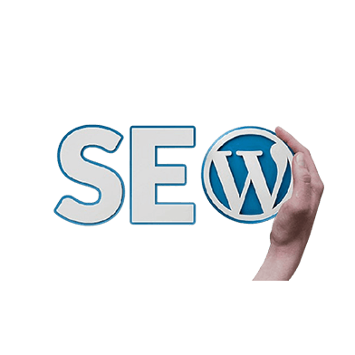 WordPress-SEO-Services​
