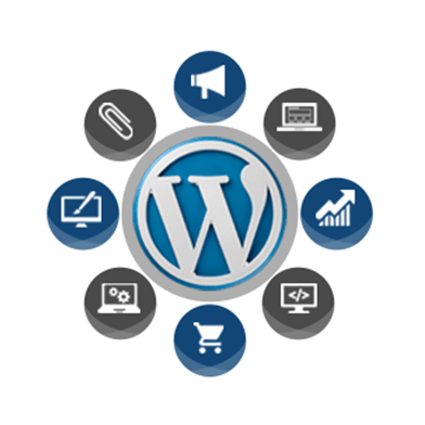 WordPress-Theme-Development​